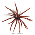 Bazooka Fishing Lure Simulated Sea Urchin Lures Soft Silicone Bait For Bream Pike Sea Bass Tilapia Gears Mandarin Winter Biats